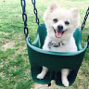 Meet your Posher, Ashlyn